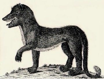 Besta de Gévaudan