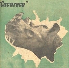 Cacareco (já iremos a Boston Curtis)