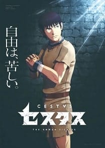 Sobre a série "Cestvs: The Roman Fighter" Sobre a série "Cestvs: The Roman Fighter"