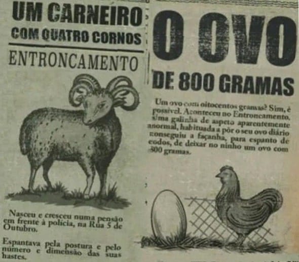 Os Fenómenos do Entroncamento e a sua história Algumas histórias dos fenómenos do Entroncamento