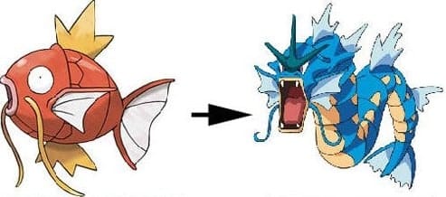 O mito da Magikarp e Gyarados