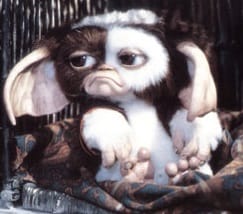 O mito do Mogwai (e os Gremlins)