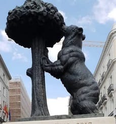 A lenda do Urso de Madrid?