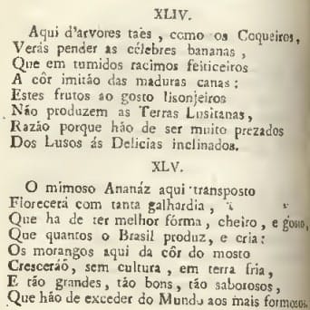Parte da descrição dos encantos da Madeira na Zargueira