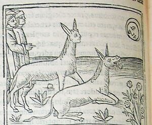 A relação entre "Lúcio, ou o Burro" e "O Burro de Ouro" Apuleio transformado em asno, de Juan de la Cueva (1587)