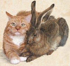 O que significa comer gato por lebre?