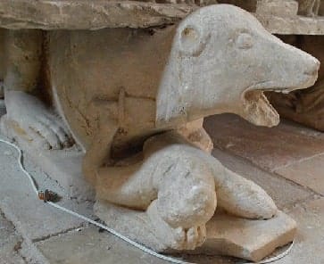 Dom Dinis e o Urso