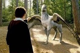 Harry Potter e o Hipogrifo