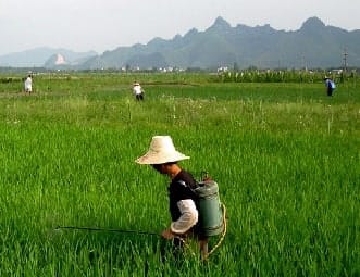 A história dos dez agricultores