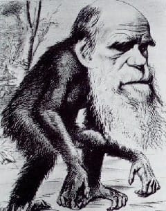 Darwin, descendente de um macaco Darwin, descendente de um macaco