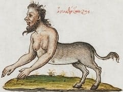Um Onocentauro, diferente de Bucentauro