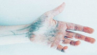 Sangue azul, origem e significado